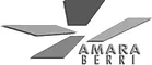 Logo de Amara Berri (San Sebastián), entidad colaboradora de La Casa del Vacío